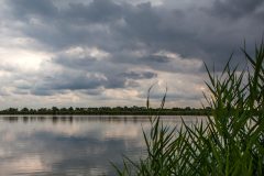 Termeszet_14