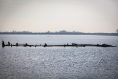 Termeszet_19
