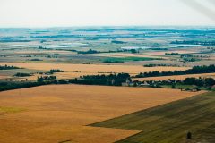Termeszet_26