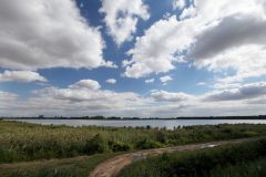 Termeszet_27