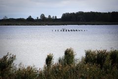 Termeszet_28