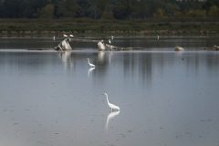 Termeszet_29