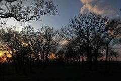 Termeszet_31